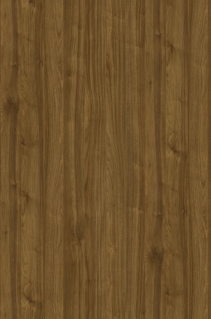 ModernWood Texture