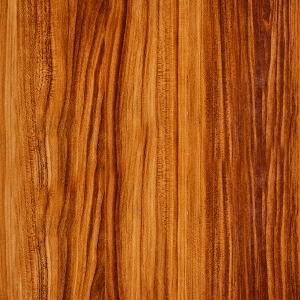 ModernWood Texture
