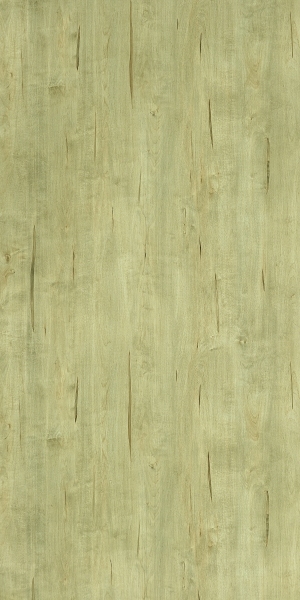 ModernWood Texture