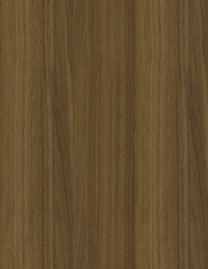 ModernWood Texture