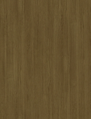 ModernWood Texture