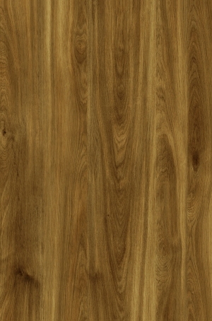 ModernWood Texture