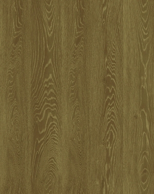 ModernWood Texture