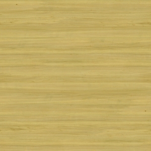 ModernWood Texture