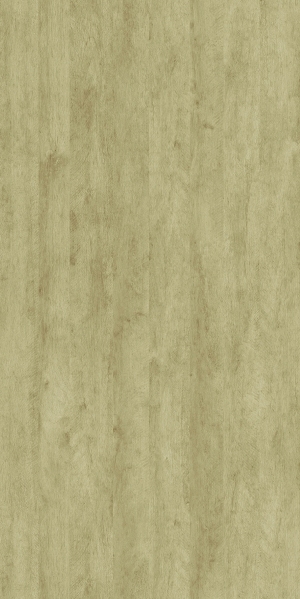 ModernWood Texture