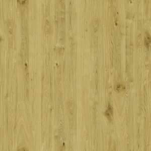 ModernWood Texture