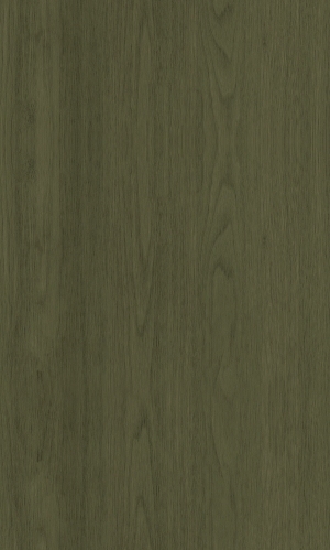 ModernWood Texture