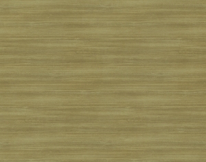 ModernWood Texture