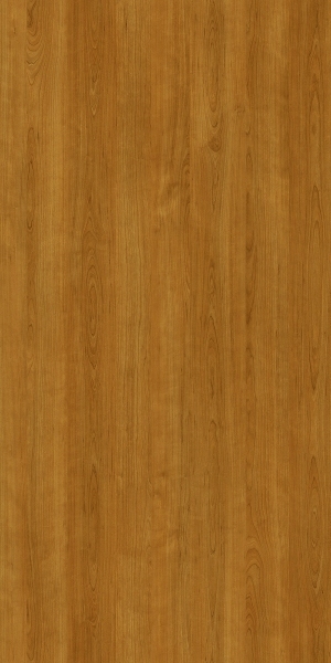 ModernWood Texture