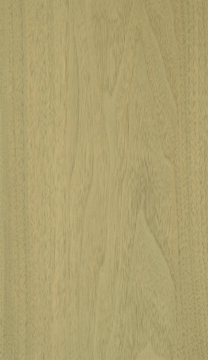 ModernWood Texture