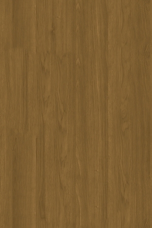 ModernWood Texture
