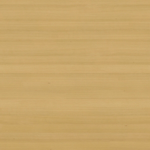 ModernWood Texture