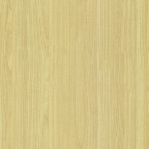ModernWood Texture