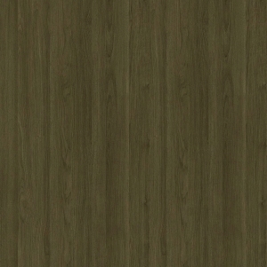 ModernWood Texture