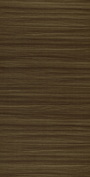 ModernWood Texture