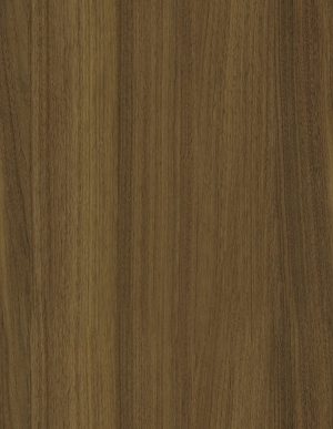 ModernWood Texture