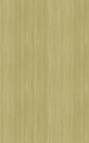 ModernWood Texture