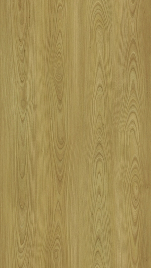ModernWood Texture