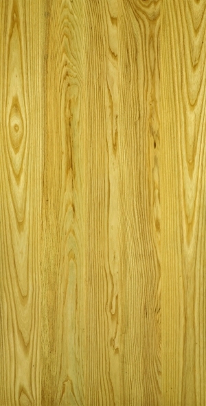 ModernWood Texture