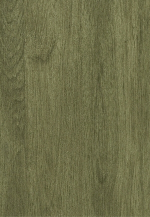 ModernWood Texture