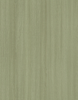 ModernWood Texture