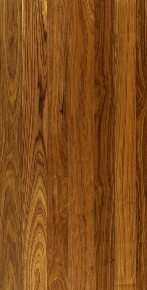 ModernWood Texture