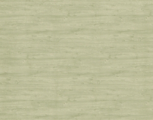 ModernWood Texture