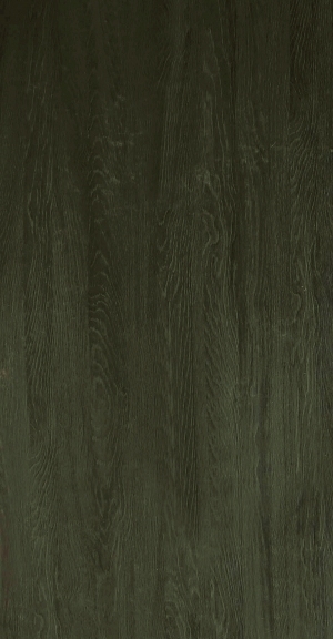 ModernWood Texture