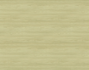 ModernWood Texture