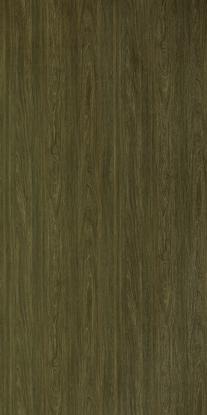 ModernWood Texture