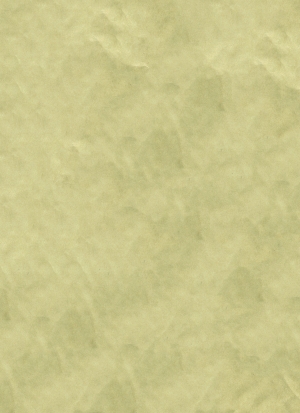 现代木纹-ID:769229893