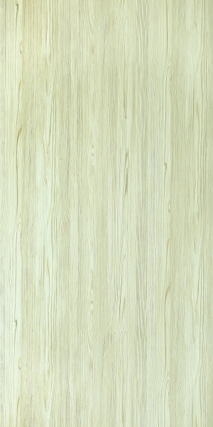 ModernWood Texture