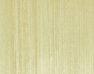 ModernWood Texture