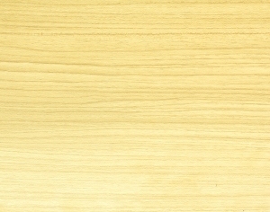 ModernWood Texture