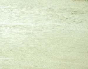 ModernWood Texture