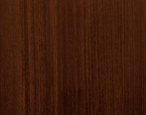 ModernWood Texture