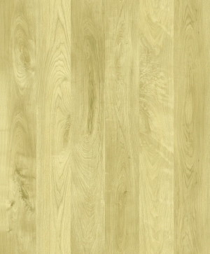 ModernWood Texture