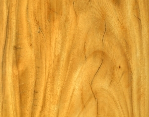 ModernWood Texture