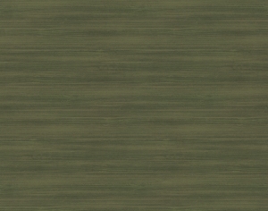 ModernWood Texture