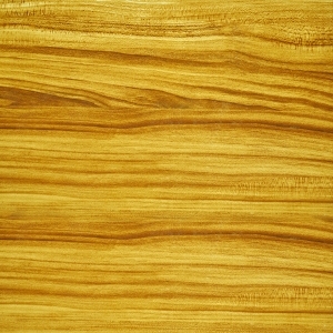 ModernWood Texture
