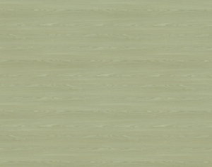 ModernWood Texture