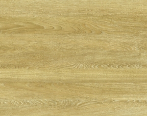 ModernWood Texture