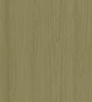 ModernWood Texture