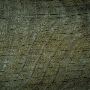 ModernWood Texture
