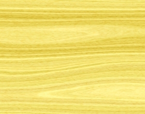 ModernWood Texture