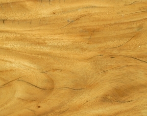 ModernWood Texture
