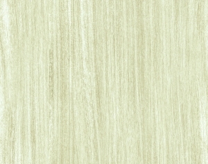 ModernWood Texture