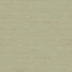 ModernWood Texture