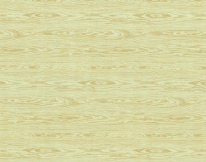 ModernWood Texture