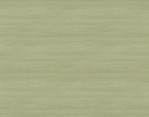 ModernWood Texture
